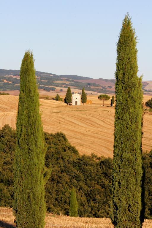 Ferienwohnung La Terrazza Sulla Val D'Orcia Castiglione dʼOrcia Exterior foto